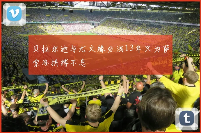 贝拉尔迪与尤文缘分浅13年只为萨索洛拼搏不息