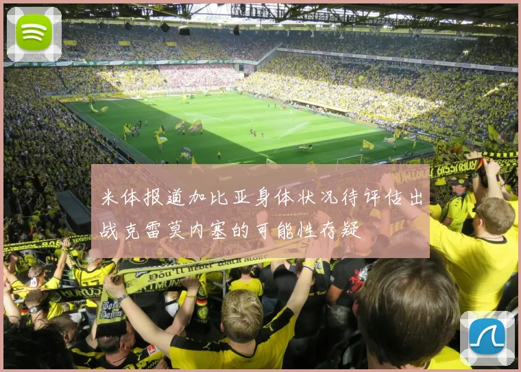 米体报道加比亚身体状况待评估出战克雷莫内塞的可能性存疑